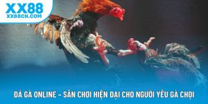 Đá Gà Online – Sân Chơi Hiện Đại Cho Người Yêu Gà Chọi